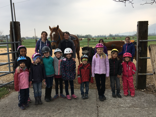 Reiten und Pferde bemalen, Kurs 2