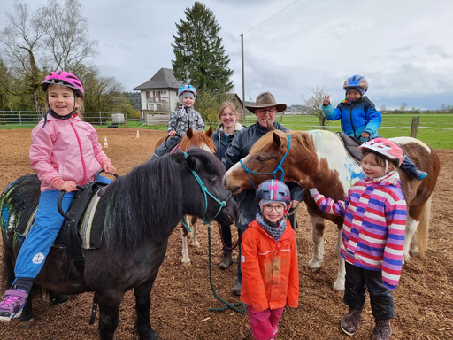 Pferde reiten 2