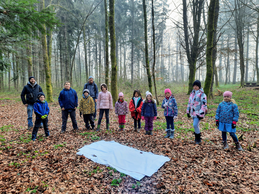 Der Wald und seine Bewohner